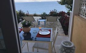 See The Sea 2